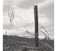 Vlk - Solastalgia i