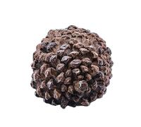 Vllold Pinecone Cacher Une clé,Pinecone Key Hider - Étui à clés pour Cacher Le Jardin,Figurine de Cache-clé de Rechange extérieure, Petites Statues de Jardin en décoratives, Coffre-Fort de dérivation