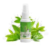 Vllold Spray naturel d'herbe à chat - Spray naturel d'herbe à chat de 50 ml, spray apaisant pour chat, aide à réduire le stress et le soulagement des chats, accessoires pour chats et chatons pour une