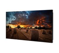 VM55B-U e diagonale 55" VMB-U Series écran LCD rétro-éclairé par LED - signalisation numérique - 1080p 1920 x 1080