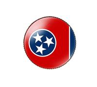 vmcoatdu Broche ronde de 2,5 cm avec drapeau de la Caroline du Sud en métal et incrustation de verre, style revivalisme, badge souvenir pour chapeau, vêtements, sac à dos, One Size, Métal, Pas de