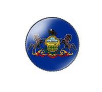vmcoatdu Broche ronde de 2,5 cm avec drapeau de la Caroline du Sud en métal et incrustation de verre, style revivalisme, badge souvenir pour chapeau, vêtements, sac à dos, One Size, Métal, Pas de