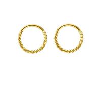 VMDVBNA Anneau de Nez Lot de 2 anneaux de nez à charnière torsadée en acier inoxydable 316 for femmes et hommes, piercing septum, cartilage, tragus, hélix(2Pcs-Golden,16G-1.2mm-6mm)
