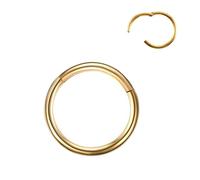 VMDVBNA Anneau de Nez Lot de 2 anneaux de nez articulés en acier chirurgical for femme, anneau de septum, anneau d'oreille, daith, boucle d'oreille, piercing(Gold color,12G 2.0x12mm)