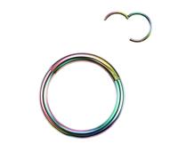VMDVBNA Anneau de Nez Lot de 2 anneaux de nez articulés en acier chirurgical for femme, anneau de septum, anneau d'oreille, daith, boucle d'oreille, piercing(Rainbow color,18G 1.0x8mm)