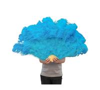 VMDVBNA Grand éventail en Plumes 13 Barres Grands éventails de Plumes colorées éventail Pliant for Carnaval fête Festival opéra Tenant des Accessoires décoration Accessoire(Blue01,2 PCS)