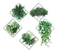 VMUTGA 3D Plantes Stickers Muraux, Plante Verte Autocollant Mural, 5 Designs de Plantes Suspendues Sticker Mural, Décoration Murale pour Salon Chambre Cuisine