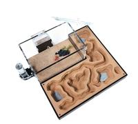 VNCdfhETs Formicarium pour L'alimentation des Fourmis Fourmilière en Acrylique, Habitat Éducatif for Passionnés