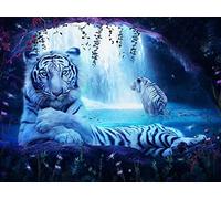 VNLMKS 5D Diamond Painting Grande Taille Kits Peinture Diamant Bricolage, Diamant Painting par Nombre Kits, Strass Broderie Plein Forage Tigre blanc animal de la forêt pour Décoration 50X60cm