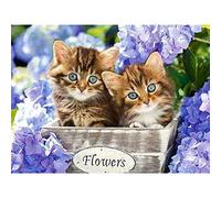 VNLMKS Diamond Painting Personnalisé 5D kit de Peinture au Diamant, Bricolage Complet Diamant Painting Cristal Broderie, Point de Croix, Artisanat, Chaton de vigne à fleurs violettes (40 * 50 cm)