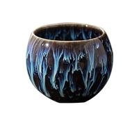 Vnmcry Tasse de Thé en Porcelaine Jianzhan Glaçure de Transmutation 5 Couleurs Transformation de Four Tasses de Thé Kungfu Traditionnelles Chinoises Tasse en Céramique