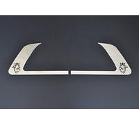 VNVIS Lot de 2 plaques de poignée de porte en acier inoxydable Griffin pour Scania R P G T L Series 2004-2016
