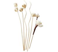 VOANZO Lot de 6 recharges de diffuseur de parfum en rotin et bâtonnets de rechange en rotin pour décoration de maison, bureau et bricolage