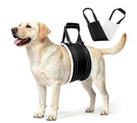 Voarge Aide à la marche réglable pour chien - Support de sécurité pour chiens handicapés, blessés ou âgés - Taille M