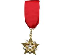 Vobumix Médaille De L'étoile d'or du Maréchal Soviétique, Insigne Militaire en pour Décoration des Uniformes De L'armée.