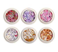 Vobumix Nail Art Fleurs Séchées 6box Nail Real Fleurs Séchées Ensemble Mini Naturel Vraies Fleurs Sèches 3D Applique pour Nail Art Décoration Ongles Autocollant