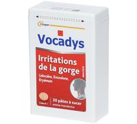 VOCADYS - Irritations de la gorge Lidocaîne 30 pâtes à sucer Comprimé(S) À Sucer pc(s)