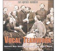 Vocal Teamwork : Bianca E Falliero