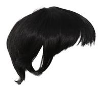 Vocdikficy Mens Perruque Longue De Quotidienne Noire
