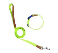 VOCUE Collier pour chien, laisse de marche, longue laisse pour animaux de compagnie, entraînement fort, marche, natation, randonnée
