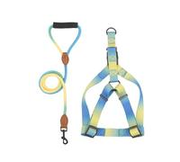 VOCUE Harnais de poitrine pour chien avec laisse, ceinture de poitrine pour animaux de compagnie, harnais coloré pour activités de plein air