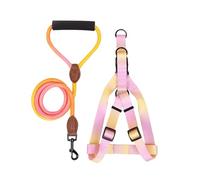 VOCUE Harnais de poitrine pour chien avec laisse, ceinture de poitrine pour animaux de compagnie, harnais coloré pour activités de plein air