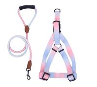 VOCUE Harnais de poitrine pour chien avec laisse, ceinture de poitrine pour animaux de compagnie, harnais coloré pour activités de plein air