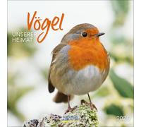Vögel 2026: Broschürenkalender mit Ferienterminen und Bildern unserer heimischen Vogelwelt. Format: 30 x 30 cm