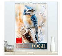 Vögel - gefiederte Freunde in unserem Garten (hochwertiger Premium Wandkalender 2026 DIN A2 hoch), Kunstdruck in Hochglanz: Vögel im Blick: Natur trifft Aquarell.