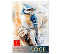 Vögel - gefiederte Freunde in unserem Garten (Wandkalender 2026 DIN A3 hoch), CALVENDO Monatskalender: Vögel im Blick: Natur trifft Aquarell.