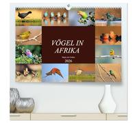 Vögel in Afrika - Magie der Farben (hochwertiger Premium Wandkalender 2026 DIN A2 quer), Kunstdruck in Hochglanz: Afrika - auch ein Vogelparadies!