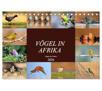 Vögel in Afrika - Magie der Farben (Tischkalender 2026 DIN A5 quer), CALVENDO Monatskalender: Afrika - auch ein Vogelparadies!