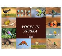 Vögel in Afrika - Magie der Farben (Wandkalender 2026 DIN A2 quer), CALVENDO Monatskalender: Afrika - auch ein Vogelparadies!