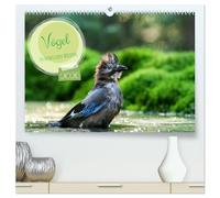 Vögel in heimischen Wäldern (hochwertiger Premium Wandkalender 2026 DIN A2 quer), Kunstdruck in Hochglanz: In unseren heimischen Wäldern gibt es ... Vertreter hier fotografiert wurden..