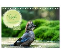 Vögel in heimischen Wäldern (Tischkalender 2026 DIN A5 quer), CALVENDO Monatskalender: In unseren heimischen Wäldern gibt es zahlreiche Vogelarten, ... Vertreter hier fotografiert wurden..