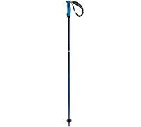 Völkl Phantastick 16mm Blue Poles Bâtons de Ski Mixte-Adulte