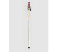 Völkl Phantastick 16mm Poles 2025 Bâtons de ski vert 110