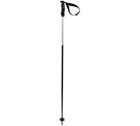 Volkl Phantastick Iii Poles Argenté 115 cm