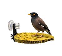 Vogel Sitzstange Mit Tablett - 13,5 Cm Ruhestange Für Wellensittich Nymphensittich | Vogel Zubehör Sitzplatz Spiel Ruhe Plattform Käfig Vogelstange Stabil Sicher, Sittiche, Conures, Kakadus