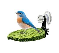 Vogel Sitzstange Mit Tablett - 13,5 Cm Ruhestange Für Wellensittich Nymphensittich | Vogel Zubehör Sitzplatz Spiel Ruhe Plattform Käfig Vogelstange Stabil Sicher, Sittiche, Conures, Kakadus