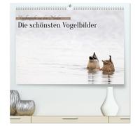 Vogelfotografie aus dem Norden (hochwertiger Premium Wandkalender 2027 DIN A2 quer), Kunstdruck in Hochglanz: Vogelfotografie aus dem Norden