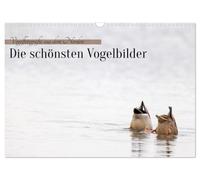 Vogelfotografie aus dem Norden (Wandkalender 2027 DIN A3 quer), CALVENDO Monatskalender: Vogelfotografie aus dem Norden