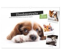 VogtArt Calendrier mensuel 2026 format A3 paysage avec portraits de chien, chiens sont nos meilleurs amis
