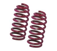 Vogtland Ressorts courts 950125 pour Peugeot 309 / 306