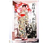 (Voice Actor Blog Book)