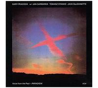 Voice From The Past - Paradigm [Lp]