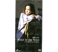 Voice in the Voice