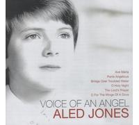 Voice of an Angel [Import]