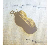 Voice of Authority - Very Big In America Right Now [Vinyl LP] [Schallplatte]