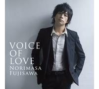 Voice of Love [CD/DVD] [Import]